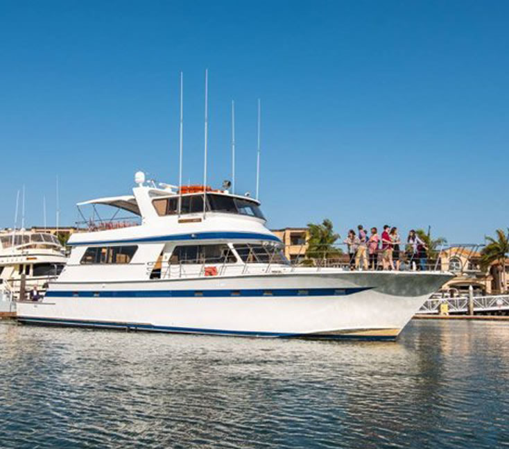 Paradiso Boat2