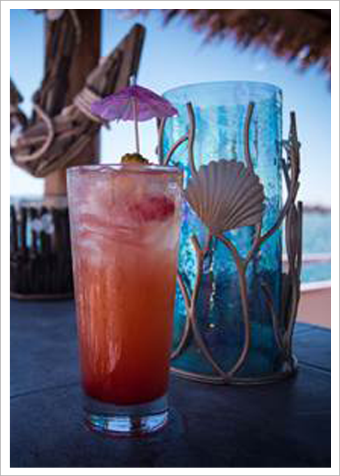 Paradiso Boat1